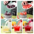 Portable electric rechargeable juicer